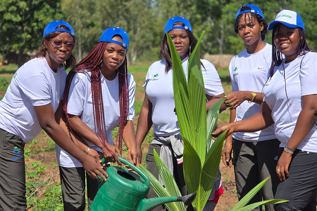 JOURNEE NATIONALE DE L'ARBRE